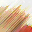 Premium WordPress Themes